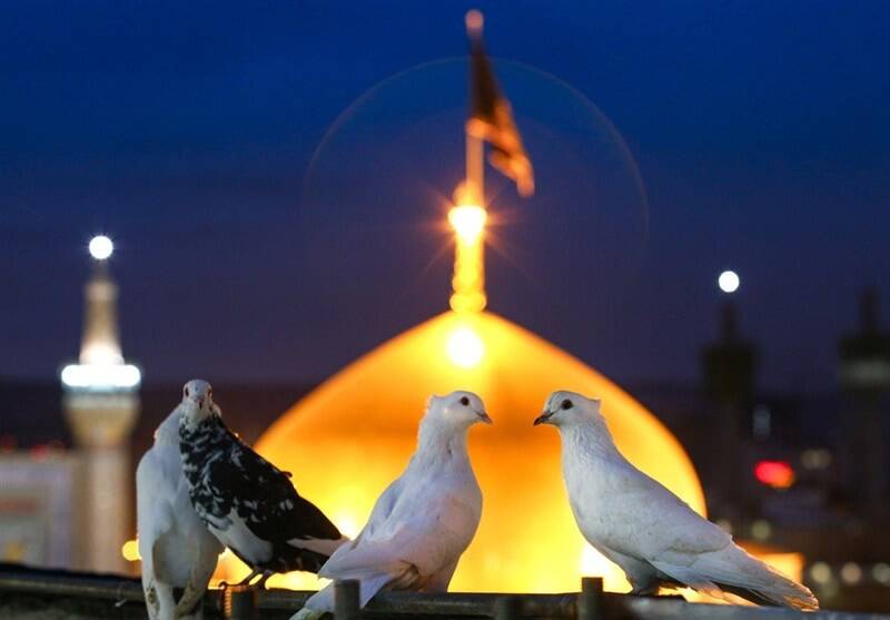 مشهدالرضا (ع) معبر نجاتبخش ایران