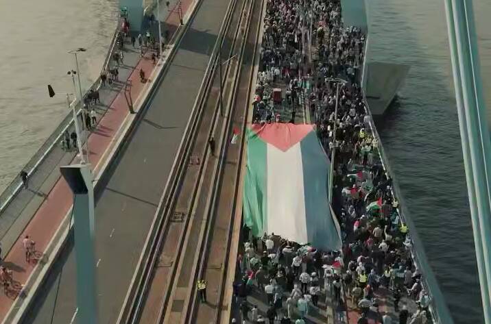 موج بیداری جهانی در حمایت از فلسطین