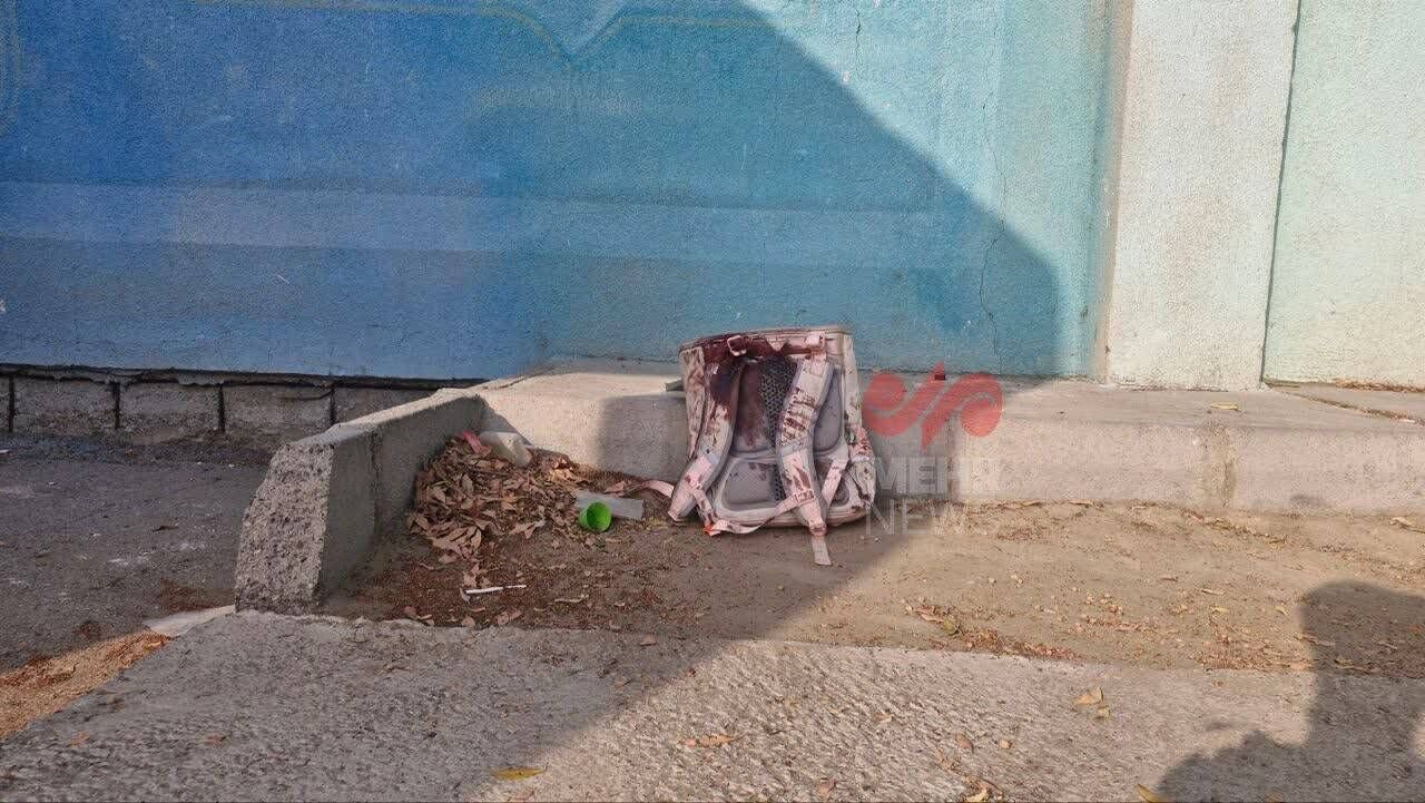 تصویری از دو جنایتکار مدرسه میناب منتشر شد