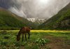 از آبشارهای پنهان تا دشتهای مرتفع؛ در فصل گرما کجا آب و هوا تازه کنیم؟/ معرفی ۶ مقصد بکر و خنک اطراف تهران از آبشارهای پنهان تا دشتهای مرتفع؛ در فصل گرما کجا آب و هوا تازه کنیم؟/ معرفی ۶ مقصد بکر و خنک اطراف تهران