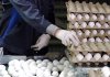 دومین تغییر قیمت تخممرغ در ۸ روز/ قیمتهای جدید اعلام شد دومین تغییر قیمت تخممرغ در ۸ روز/ قیمتهای جدید اعلام شد