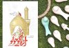 روایت کربلا از زبان دختری که تازه زائر شده است روایت کربلا از زبان دختری که تازه زائر شده است