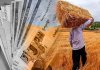 مجموع مطالبات پرداختشده به گندمکاران به ۹۳ همت رسید مجموع مطالبات پرداختشده به گندمکاران به ۹۳ همت رسید