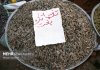 صادرات ۱۵ محصول کشاورزی آزاد شد صادرات ۱۵ محصول کشاورزی آزاد شد