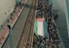 موج بیداری جهانی در حمایت از فلسطین موج بیداری جهانی در حمایت از فلسطین
