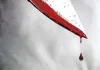 یک وکیل در یاسوج با سلاح گرم کاشته شد یک وکیل در یاسوج با سلاح گرم کاشته شد