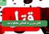 قاتل پیرزن به قصاص محکوم شد