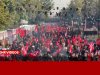 گزارش خبرنگار مهر از مراسم پیادهروی جاماندگان تهران گزارش خبرنگار مهر از مراسم پیادهروی جاماندگان تهران
