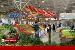کالاهای اساسی در میادین تا ۴۰ درصد ارزان‌ترند