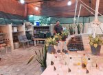 خرید گلاب اصل قمصر کاشان در تهران از کارگاه تولیدی گلاب و عرقیات معلی