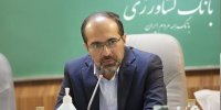 معاون وزیر اقتصاد: بانک کشاورزی در مسیر حرفه‌ای مدیریت می‌شود