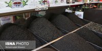 توضیحات وزارت کشاورزی درباره تخلف واردات چای/ معادل ارز تخصیصی، ریال گرفته شده است