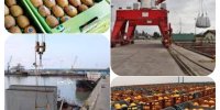  رشد ۴۸ درصدی صادرات از گمرکات‌ مازندران