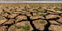 فراخوان حمایت از طرح‌های فناورانه در حوزه اقتصاد بیابان