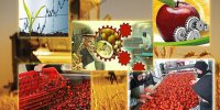 صدور ۲ فقره موافقت اولیه طرح صنایع تبدیلی کشاورزی در اهواز