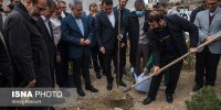 پویش «نهال نو، خانه نو» برگزار شد