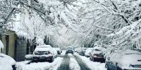 ببینید | چهره زمستانی زعفرانیه تهران