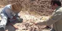 کشفی گران‌بها در مراغه!/ عکس