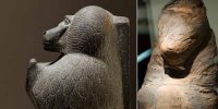 بابون‌های عجیبی که از ناکجا آباد آمده‌اند!/ عکس