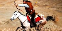 زیباترین اسب ایرانی که دست پرورده عشایر است!/ عکس