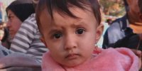 عکس | مزار دختر کاپشن صورتی غرق در گل