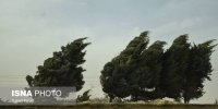 وزش باد شدید در جنوب و غرب تهران/ کاهش دما تا دوشنبه