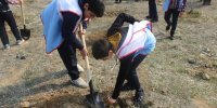 غرس ۲۰۰ اصله نهال توسط پادیاران جمعیت مبارزه با استعمال دخانیات در پارک پردیسان