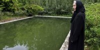 بانوی "گل های داوودی" را به گیلان بسپارید