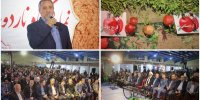 برگزاری "ناردونه" در شهر یاقوت سرخ