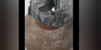 توضیح درباره سطل زباله خبرساز!