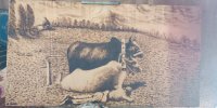 صنایع دستی مازندران، بازارچه دائمی می‌خواهد