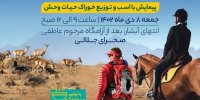 جشنواره گردشگری ورزشی نذر طبیعت تپال برگزار می‌شود