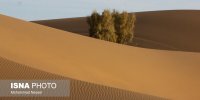 «کویر مصر» سرزمین شن‌های طلایی ایران