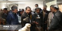 گردهمایی سالانه باستان‌شناسی ایران