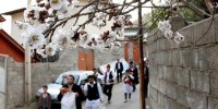 بهاریه‌های گیلان و سنت‌های نمایشی «عروس گولی» و «تکم چی»
