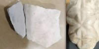 ماجرای زن گردشگر بلژیکی که در خطر حبس قرار گرفت