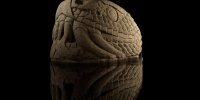 مار یک تنی از زیر زمین بیرون کشیده شد/ عکس