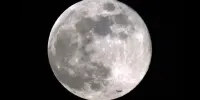 شکار ماه کامل از پنجره فالکون ۹/ فیلم