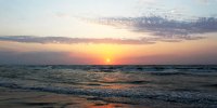 قاتل بی‌رحم دریای خزر!/ عکس