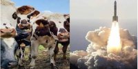 ژاپنی‌ها کود حیوانی را سوخت موشک کردند!