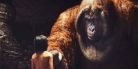 چرا جهان از حیوانات غول‌پیکر تهی شد؟