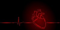 قلب این موجود در سرش قرار دارد