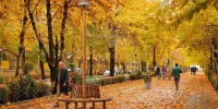 پاییز این هفته خودنمایی خواهد کرد/ این مناطق منتظر باران‌های شدید باشند