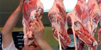 قیمت گوشت گوسفندی و گوساله ارزان شد | جدیدترین قیمت دام زنده و گوشت گوساله