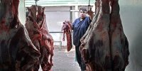 قیمت جدید گوشت اعلام شد/ ملکی: گوشت به قیمت‌های پارسال بازمی‌گردد؟