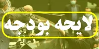 بودجه ۱۴۰۳ مانند امسال تورم‌زاست / مردم از اوراق قرضه استقبال نخواهند کرد/ وضع تولید خودرو همین خواهد بود که هست