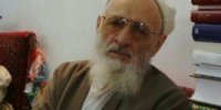 بشنوید| چرا هیچ کس نمی میرد؟/ علامه حسن‌زاده پاسخ میدهد + (فیلم)