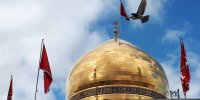 وقتی زنان کوفی دیگر بر بستر مردانشان حاضر نشدند! / نقش تعیین کننده زنان در ماندگاری قیام عاشورا با روشنگری حضرت زینب(س)