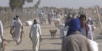 تسهیل تجارت در مناطق مرزی مشکل کوله بران را حل می کند؟