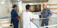منابع تامین یارانه نان و دارو مشخص شد